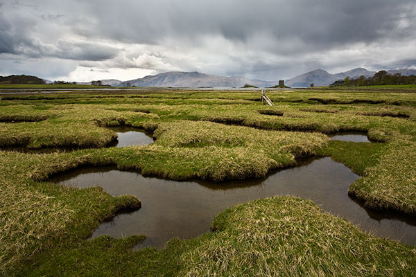Salt Marsh. Fine Art Landscape Photography by Gary Waidson