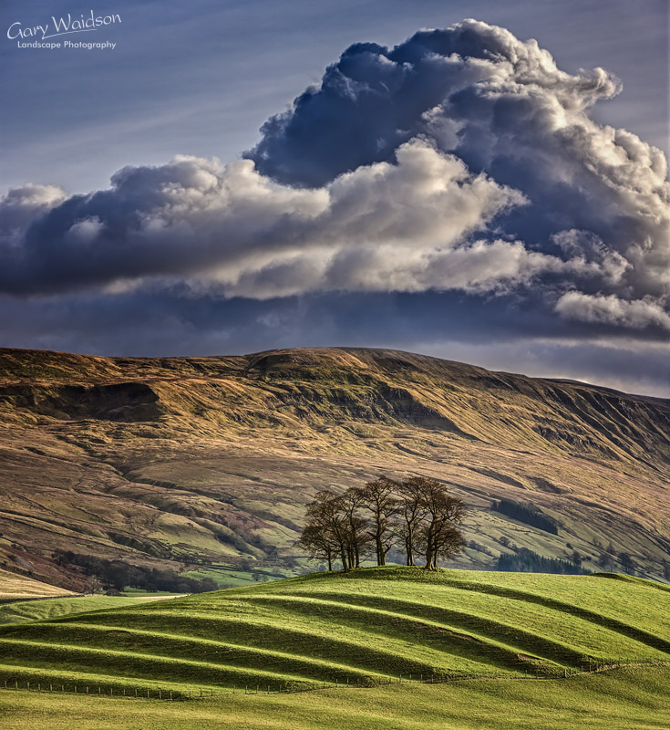 Whinny Hill. Waylandscape. Fine Art Landscape Photography by Gary Waidson