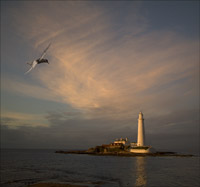 Lighthouse on St Mary's Island. 