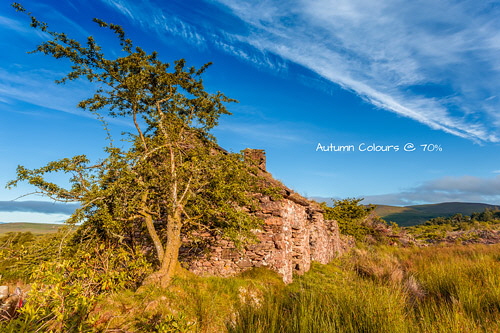 Action-Test---Abandoned-Cottage-Ireland---Autumn-Colours-70 Action-Test---Abandoned-Cottage-Ireland---Autumn-Colours-70