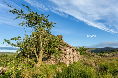 Action-Test---Abandoned-Cottage-Ireland Action-Test---Abandoned-Cottage-Ireland