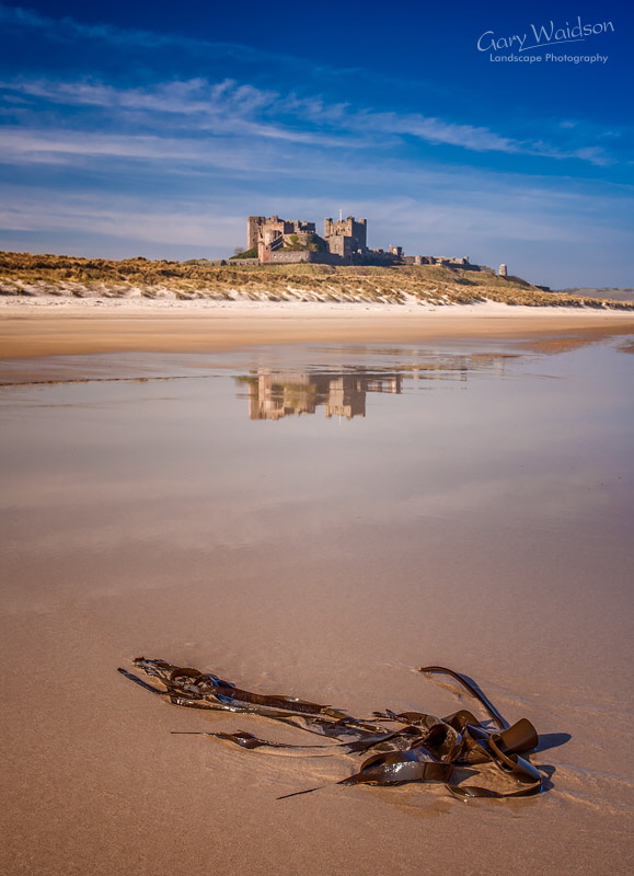 Bamburgh Kelp. Fine Art Landscape Photography by Gary Waidson Bamburgh Kelp. Fine Art Landscape Photography by Gary Waidson