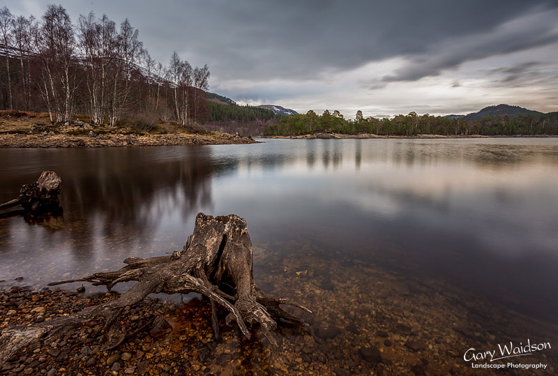 Caledonian Ghosts - Waylandscape. Fine Art Landscape Photography by Gary Waidson Caledonian Ghosts - Waylandscape. Fine Art Landscape Photography by Gary Waidson
