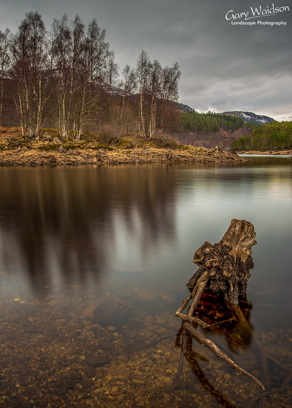 Caledonian Ghosts - Waylandscape. Fine Art Landscape Photography by Gary Waidson Caledonian Ghosts - Waylandscape. Fine Art Landscape Photography by Gary Waidson