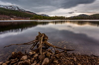 Glen Affric