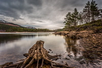 Glen Affric