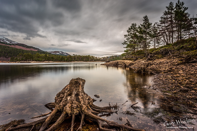 Caledonian Ghosts - Waylandscape. Fine Art Landscape Photography by Gary Waidson Caledonian Ghosts - Waylandscape. Fine Art Landscape Photography by Gary Waidson