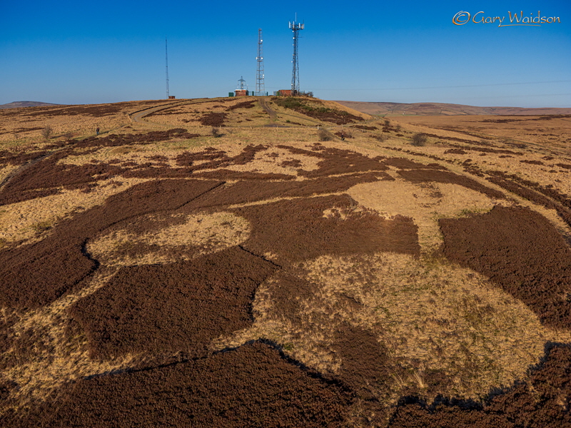 Heather flailing onCrow Knowl - Fine Art Landscape Photography by Gary Waidson Heather flailing onCrow Knowl - Fine Art Landscape Photography by Gary Waidson