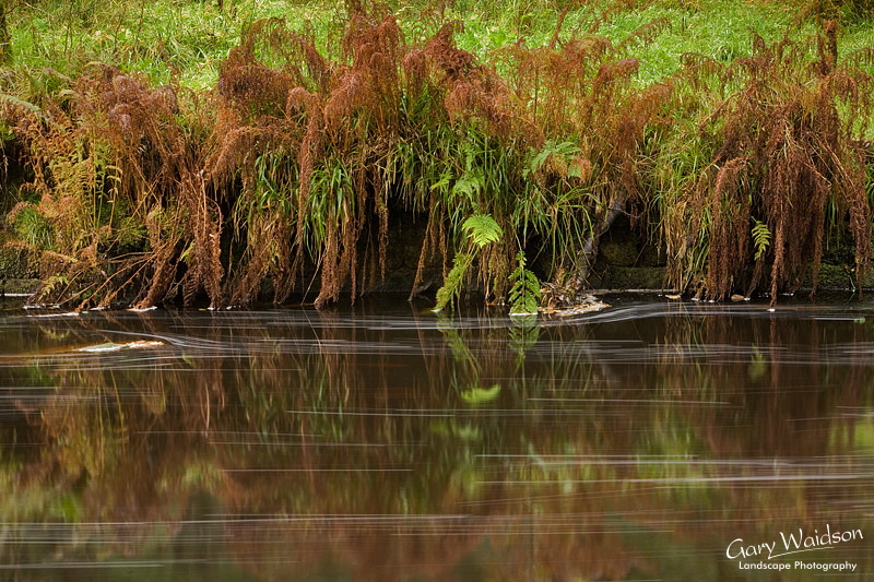 Hebden Water, Yorkshire. Landscape photography by Gary Waidson. Hebden Water, Yorkshire. Landscape photography by Gary Waidson.