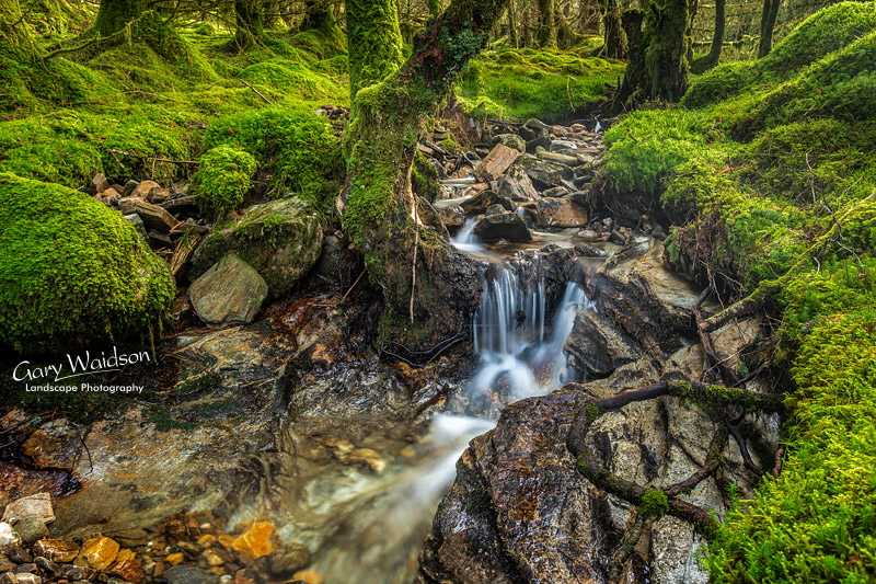 Glen Orchy - © Waylandscape. Fine Art Landscape Photography by Gary Waidson Glen Orchy - © Waylandscape. Fine Art Landscape Photography by Gary Waidson