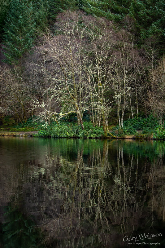 Glencoe Lochan - © Waylandscape. Fine Art Landscape Photography by Gary Waidson Glencoe Lochan - © Waylandscape. Fine Art Landscape Photography by Gary Waidson