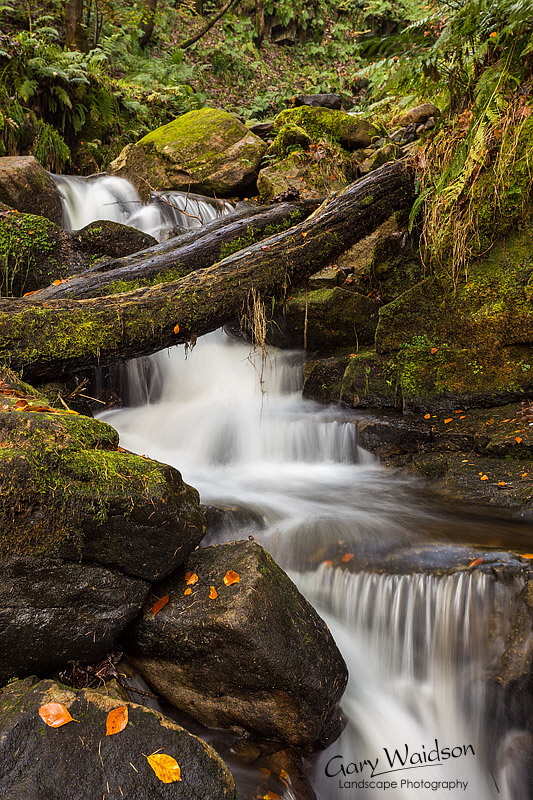 Hardcastle-Tributary Hardcastle-Tributary