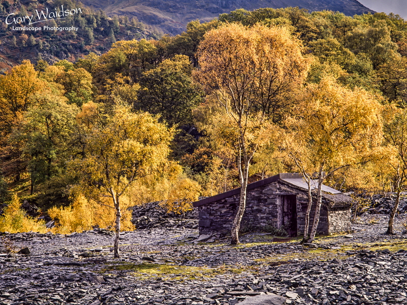 Hodges Close - Waylandscape. Fine Art Landscape Photography by Gary Waidson