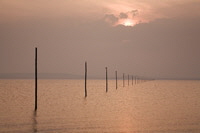 Pilgrims way. Holy Island. 