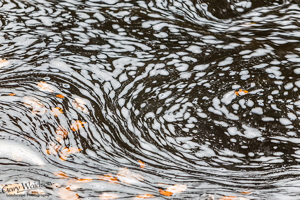 River-Doe-Swirl River-Doe-Swirl