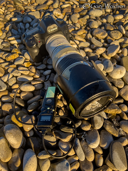 The Sad Demise of an old and trusted friend - Fine Art Landscape Photography by Gary Waidson The Sad Demise of an old and trusted friend - Fine Art Landscape Photography by Gary Waidson