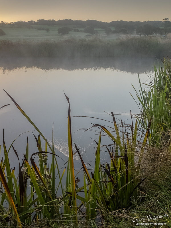 The Web and the Mere - Fine Art Landscape Photography by Gary Waidson The Web and the Mere - Fine Art Landscape Photography by Gary Waidson