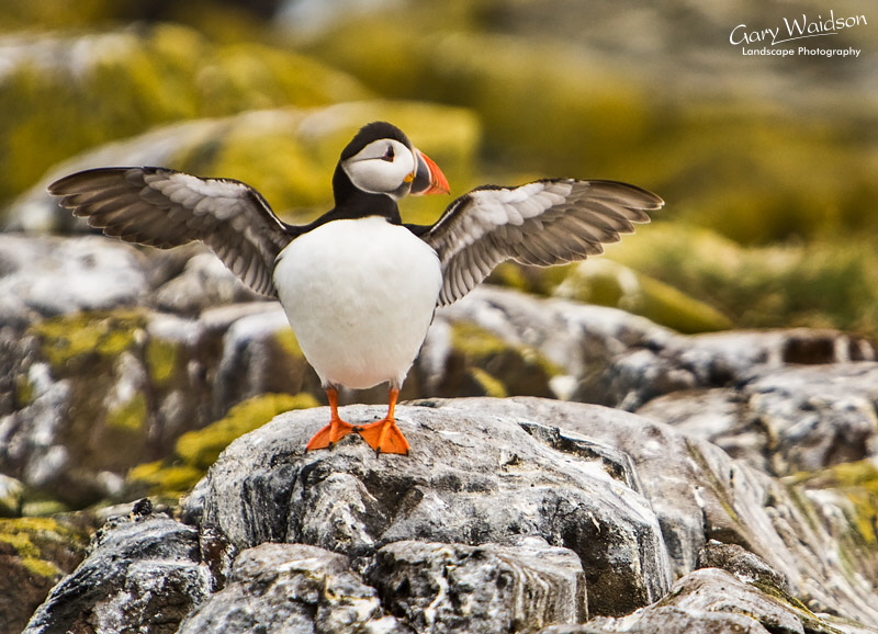 I saw a sandeel this big! Waylandscape. Fine Art Landscape Photography by Gary Waidson I saw a sandeel this big! Waylandscape. Fine Art Landscape Photography by Gary Waidson
