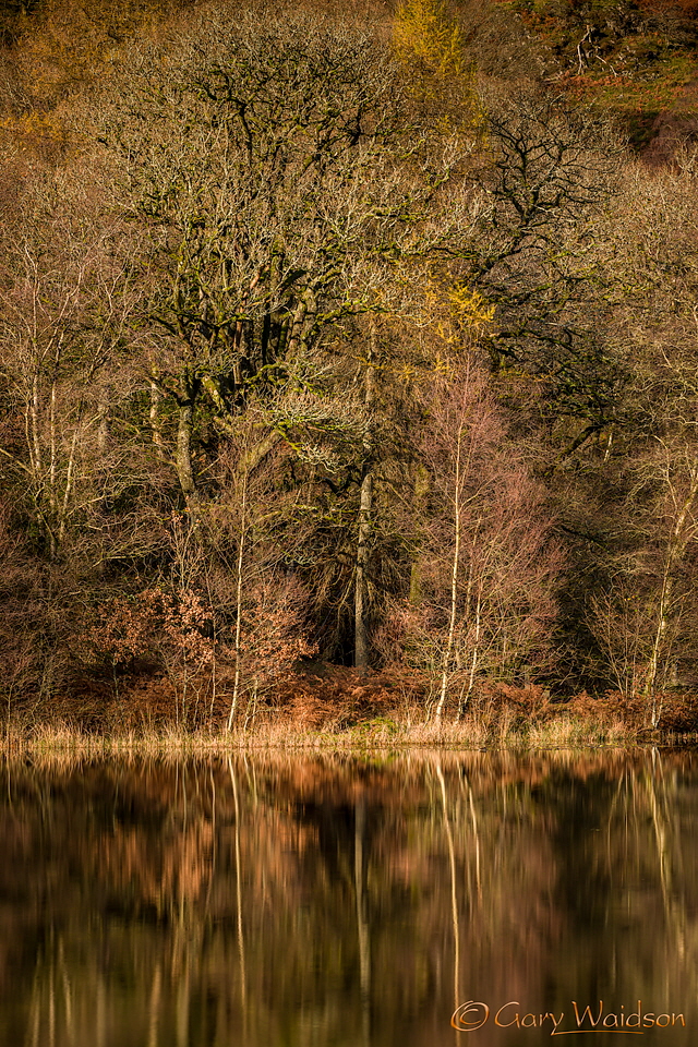 Yew Tree Tarn - Fine Art Landscape Photography by Gary Waidson Yew Tree Tarn - Fine Art Landscape Photography by Gary Waidson