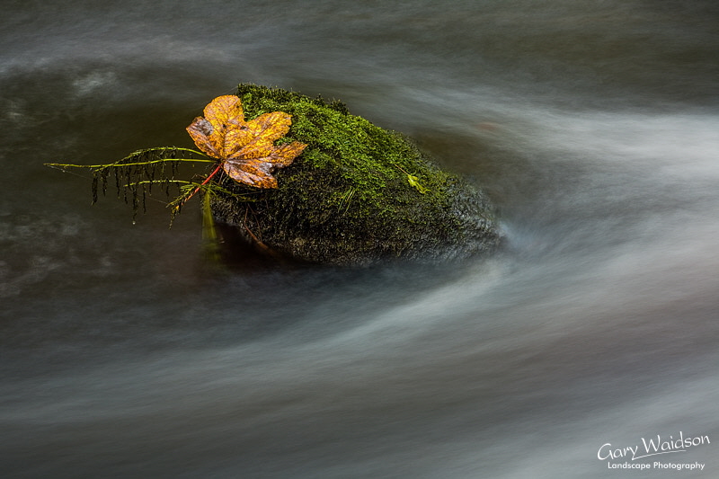 Hebden Water, Yorkshire. Landscape photography by Gary Waidson. Hebden Water, Yorkshire. Landscape photography by Gary Waidson.