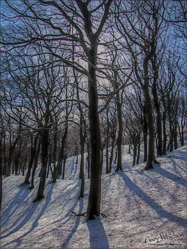 Tandlewood in snow, Lancashire. Landscape photography by Gary Waidson. Tandlewood in snow, Lancashire. Landscape photography by Gary Waidson.